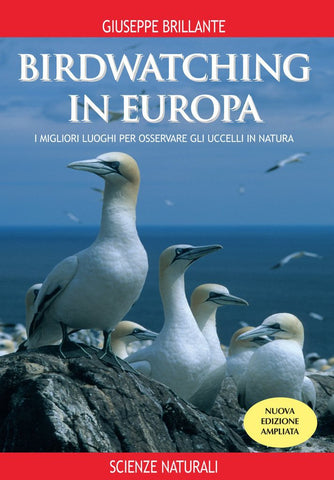 Birdwatching in Europa. I migliori luoghi