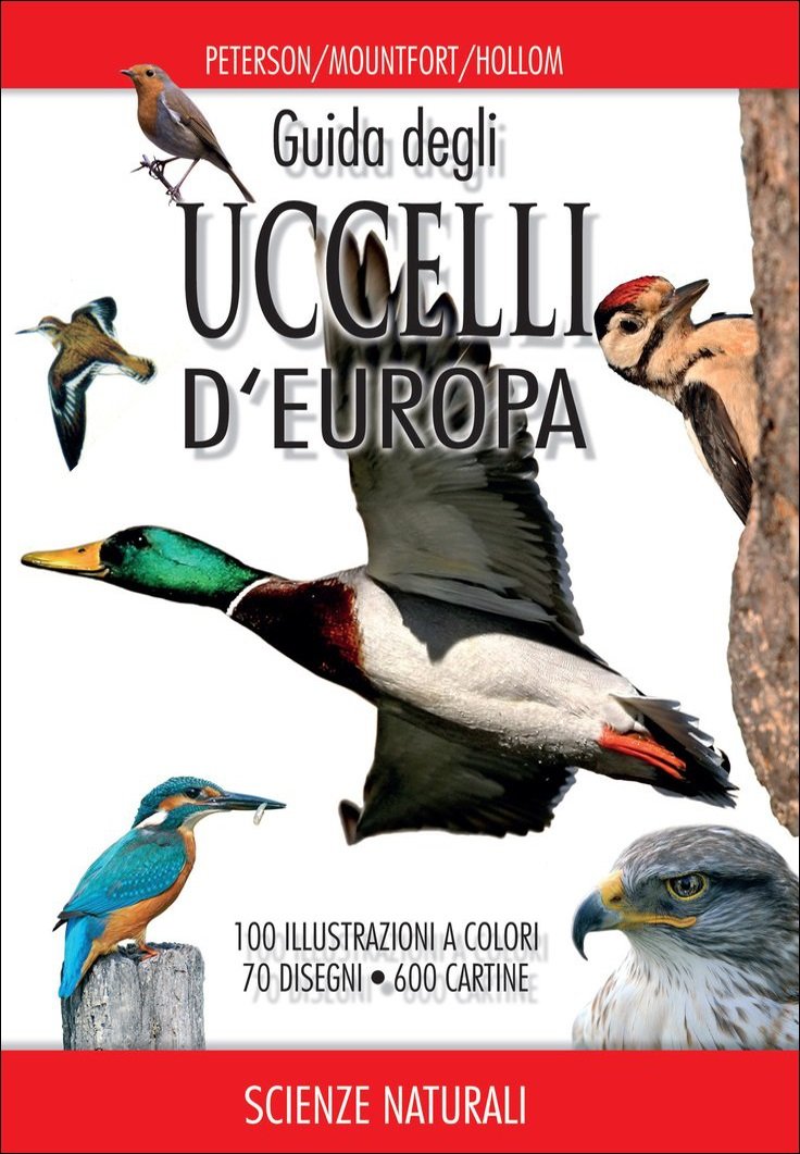 Uccellini Impila e Avvita Goula - Gioco e Mi Diverto