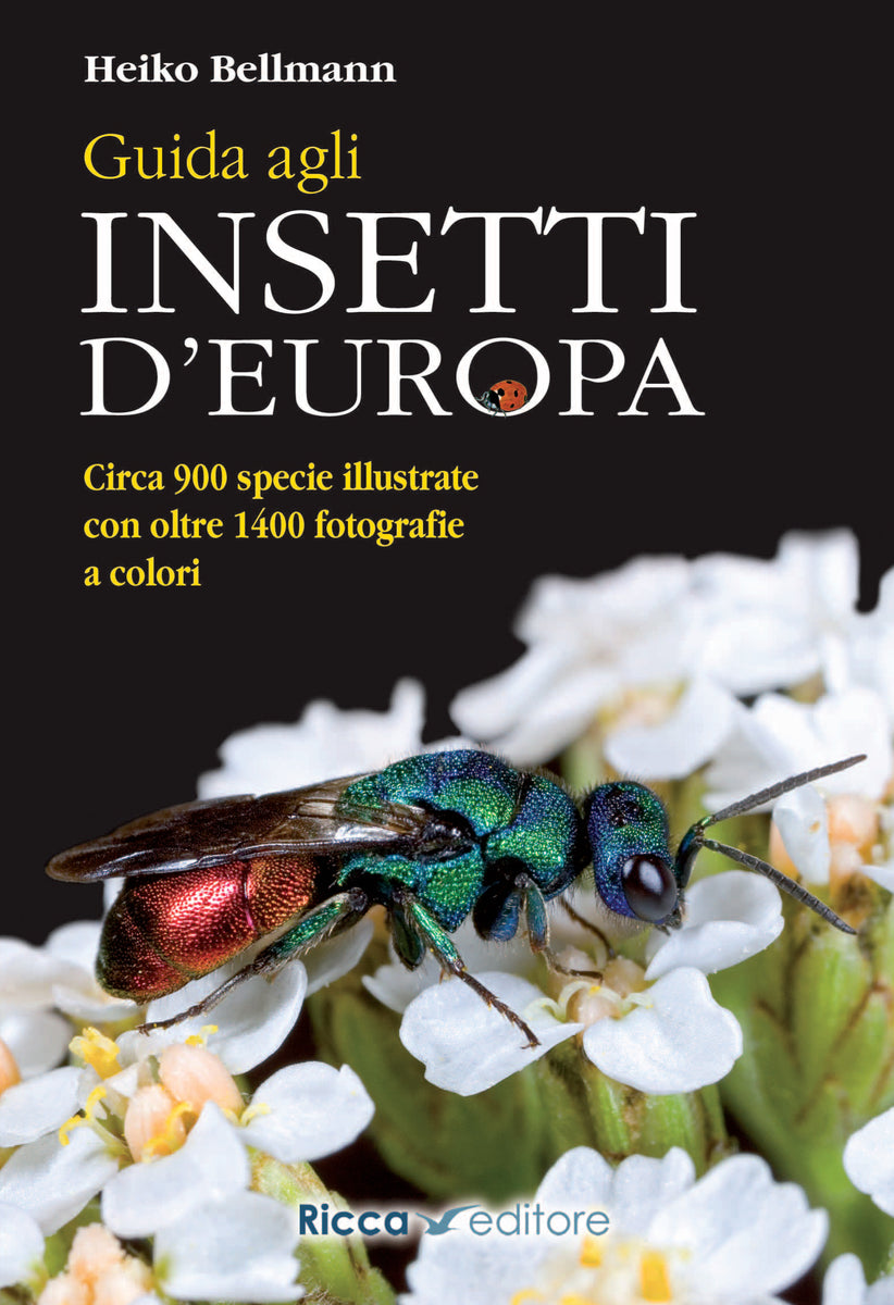 Prophila Collection Islanda 1075-1076 (Completa Edizione) MNH ** MNH 2004 Insetti e Ragni (Francobolli per i Collezionisti) Invertebrati Altro ( Insetti, lumache, api