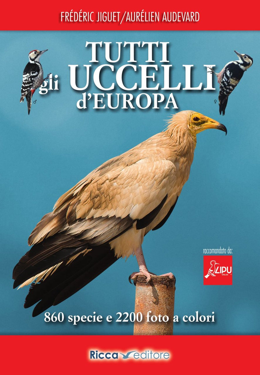 Goula 53154 Uccellini Impila E Avvita - Gioco In Legno Per Bambini 2+ Anni, Abilità Manuale Con Carte Esempio - 6
