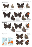 Guida alle farfalle d'Europa. Oltre 500 specie illustrate