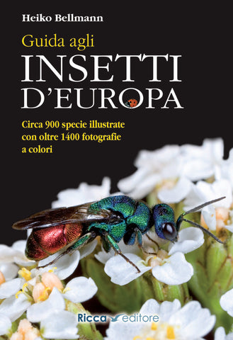Guida agli insetti d'Europa