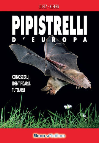 Pipistrelli d'Europa